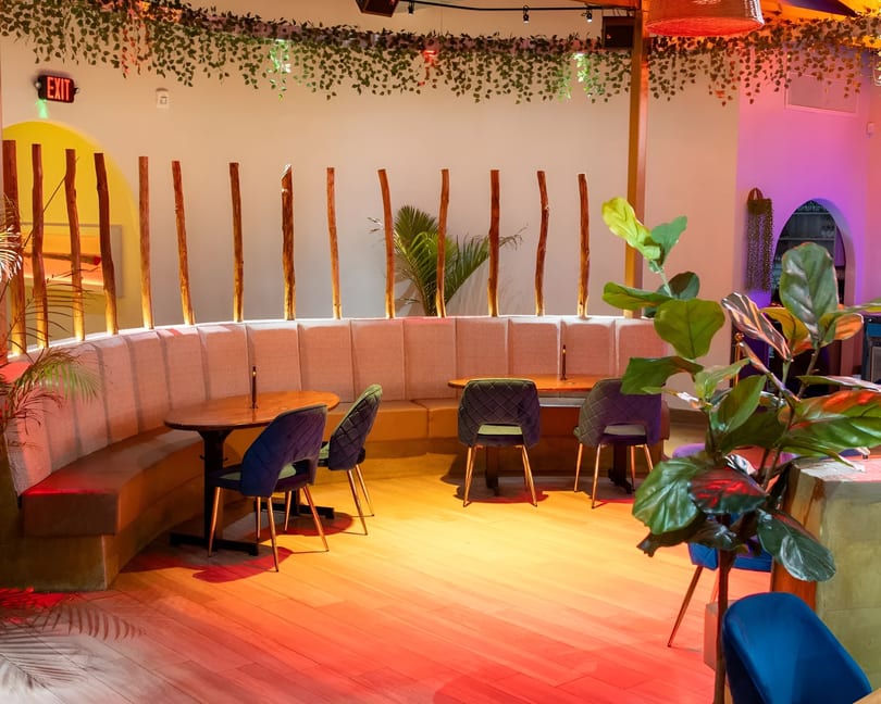 Restaurant interior with a curved booth, round tables, blue chairs, plants, and warm lighting.